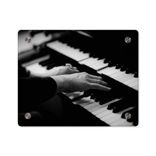 Acrylic Wall Art Panels